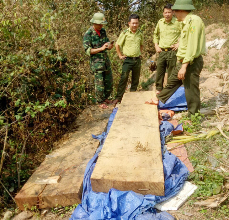 Kiểm điểm trách nhiệm vụ phá rừng ở Phong Nha - Kẻ Bàng - Ảnh 1.