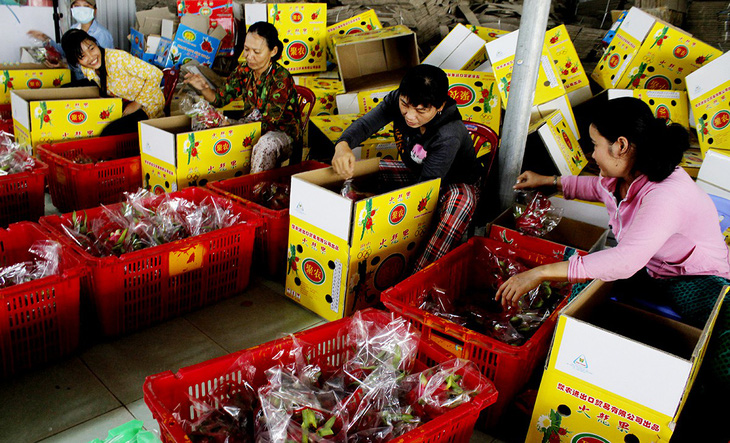 Trung Quốc tăng mua, nhiều loại trái cây tăng giá mạnh - Ảnh 1.