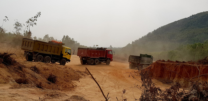 Bình Định: doanh nghiệp đào đất trồng rừng san lấp công trình - Ảnh 2.