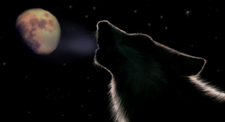 Trăng sói, trăng tuyết, trăng hồng… là trăng gì? - Ảnh 1.