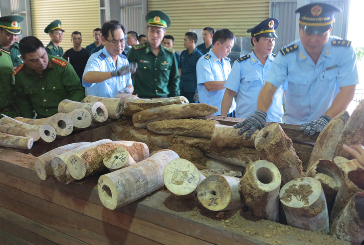 Bắt giữ 9,1 tấn nghi là ngà voi ở cảng Tiên Sa - Ảnh 1.