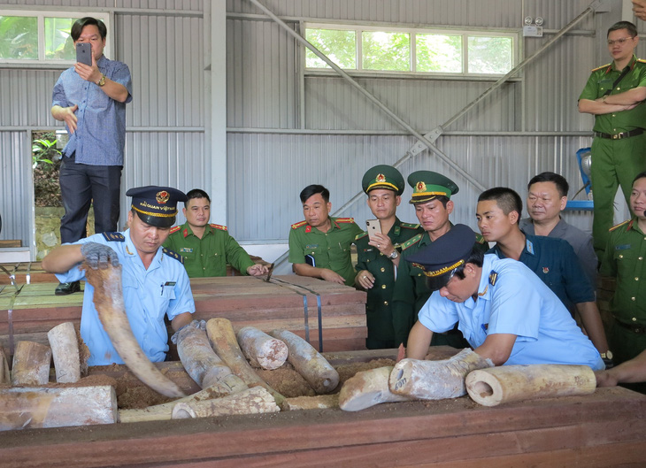 Bắt giữ 9,1 tấn nghi là ngà voi ở cảng Tiên Sa - Ảnh 2.