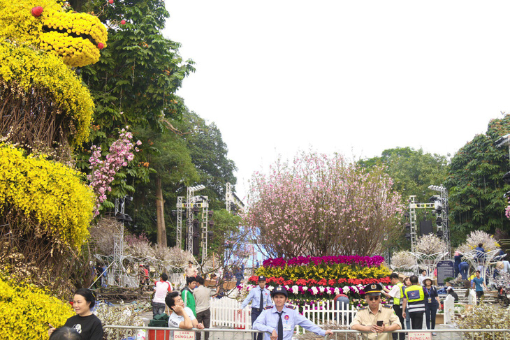 20.000 cành hoa anh đào khoe sắc tại vườn hoa Lý Thái Tổ - Ảnh 2.