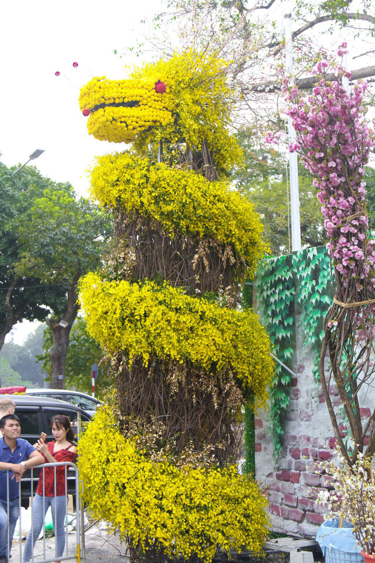 20.000 cành hoa anh đào khoe sắc tại vườn hoa Lý Thái Tổ - Ảnh 4.