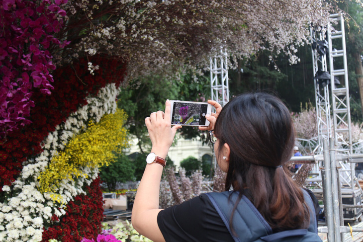 20.000 cành hoa anh đào khoe sắc tại vườn hoa Lý Thái Tổ - Ảnh 12.