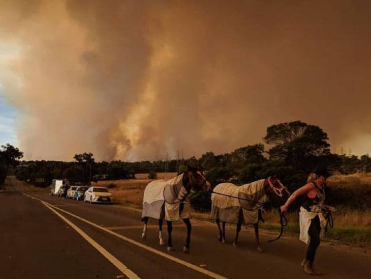 Cháy kinh hoàng ở Úc - Ảnh 1.