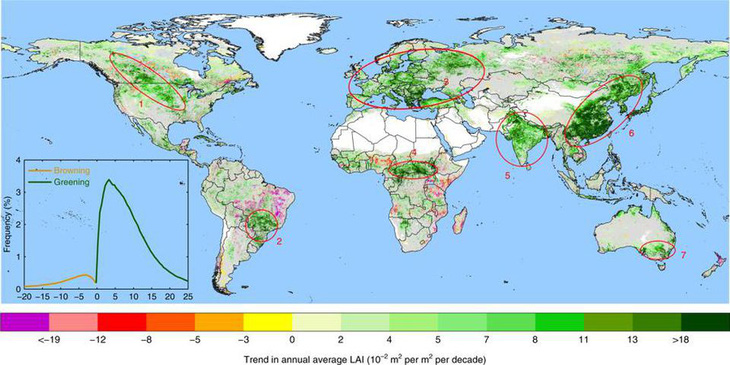Trái đất xanh hơn 20 năm trước nhờ Trung Quốc, Ấn Độ - Ảnh 1.