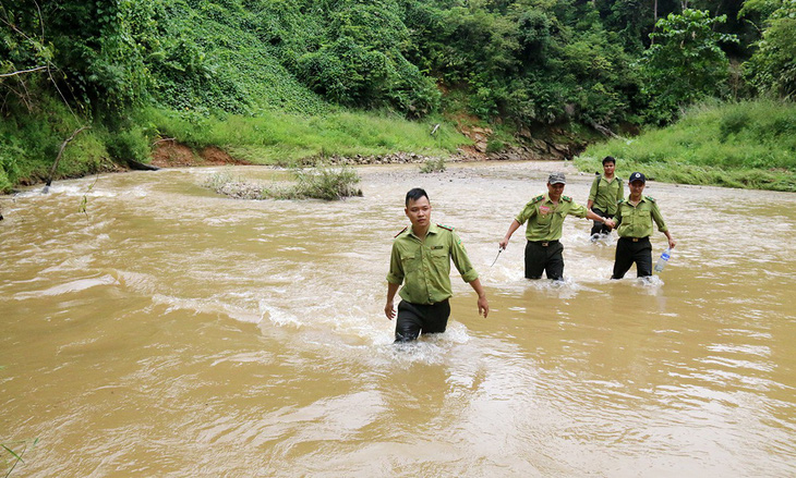 Tây Giang gìn giữ rừng xanh - Kỳ 4: Biệt đội rừng lim - Ảnh 3.