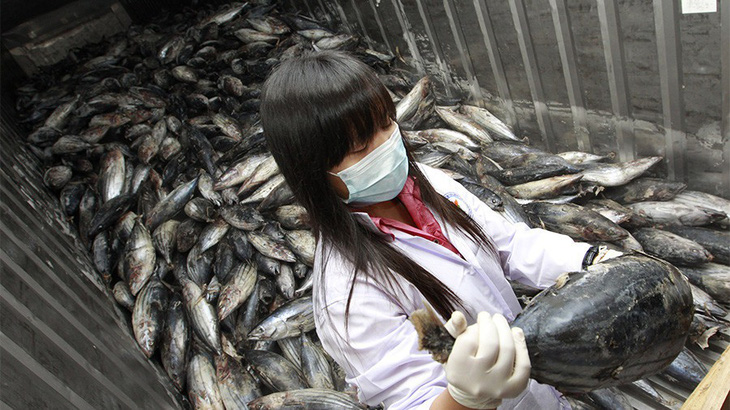 Hàn Quốc kháng cáo thành công Nhật Bản tại WTO vụ kiện thủy hải sản - Ảnh 1.