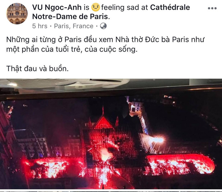 Nhà thờ Đức Bà Paris bốc cháy, người Việt bàng hoàng chia sẻ kỷ niệm - Ảnh 5.