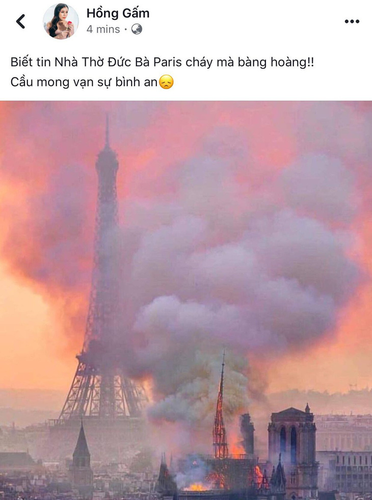 Nhà thờ Đức Bà Paris bốc cháy, người Việt bàng hoàng chia sẻ kỷ niệm - Ảnh 8.