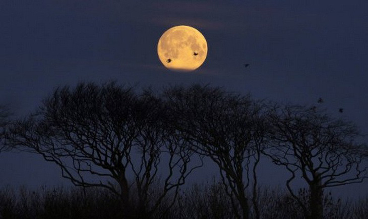 Ngắm trăng hồng đẹp lung linh trên trời đêm - Ảnh 2.