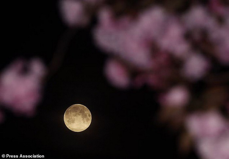 Ngắm trăng hồng đẹp lung linh trên trời đêm - Ảnh 4.