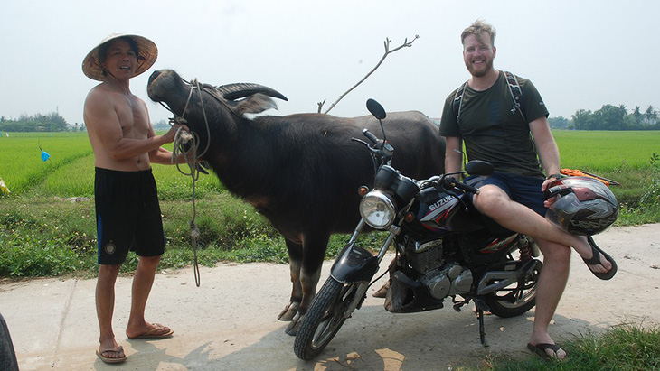 Trang điểm, xịt nước hoa cho... trâu, thu về đô la - Ảnh 1.