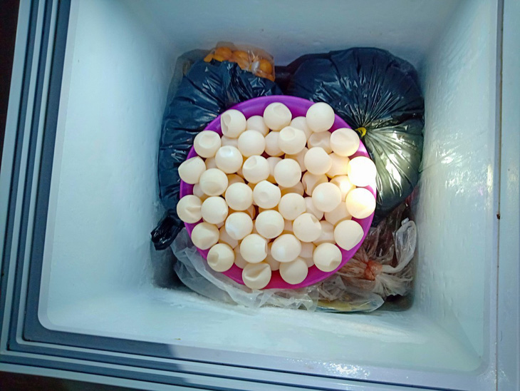 Truy tìm đối tượng tàng trữ thịt vích, trứng vích tại Côn Đảo - Ảnh 4.