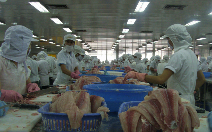 Mỹ áp thuế cao với cá tra Việt Nam