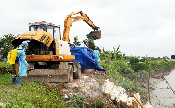 200 xác heo kẹt dính cầu phao, thối cả một vùng sông nước - Ảnh 3.