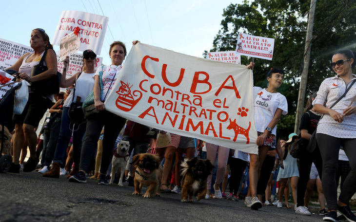 Hàng trăm người dân Cuba đã biểu tình ôn hòa ở Havana