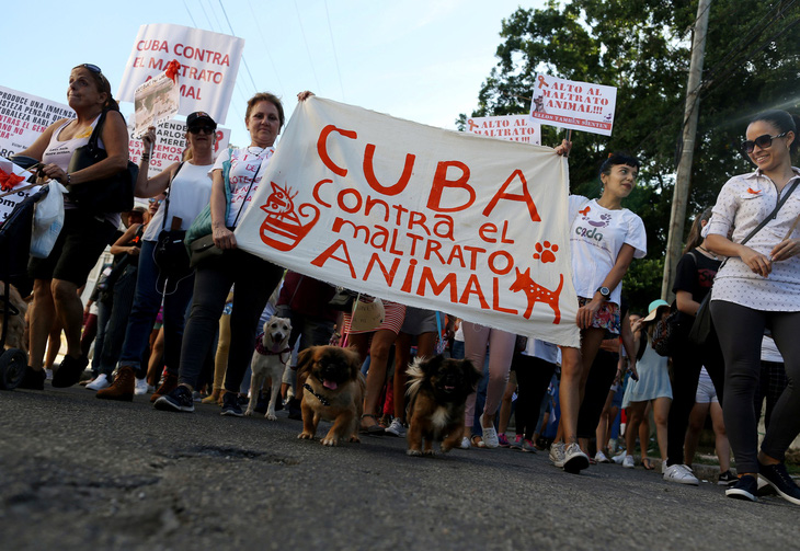 Hàng trăm người dân Cuba đã biểu tình ôn hòa ở Havana - Ảnh 1.