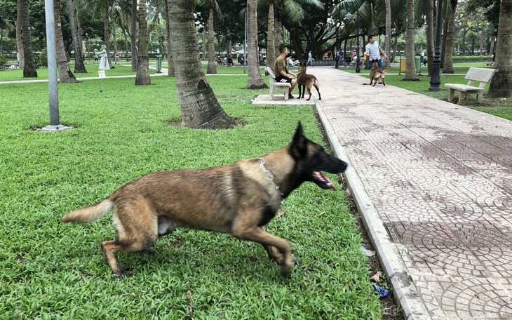Huấn luyện chó dữ ở… công viên, người đi dạo "phát khiếp"