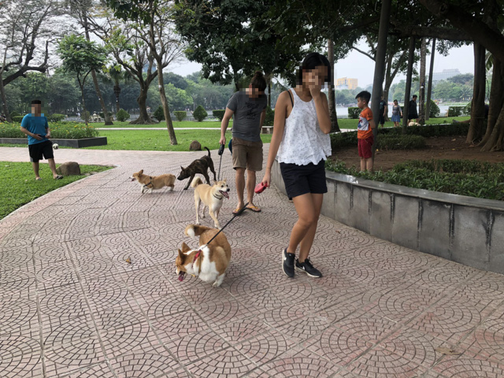 Huấn luyện chó dữ ở… công viên, người đi dạo phát khiếp - Ảnh 8.