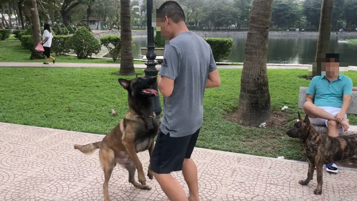 Huấn luyện chó dữ ở… công viên, người đi dạo phát khiếp - Ảnh 7.