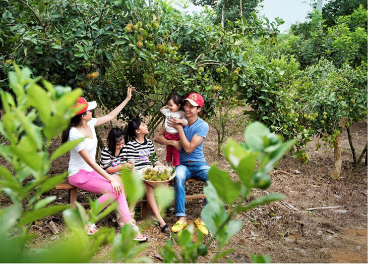 Vườn cây ăn trái 25 hecta giữa lòng Madagui - Ảnh 2.