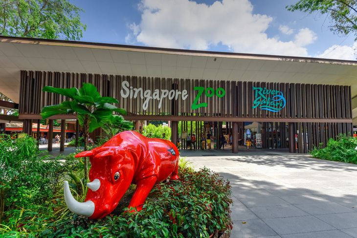 Singahura - Vui hè Singapore: Trải nghiệm mùa hè cho cả nhà - Ảnh 4.