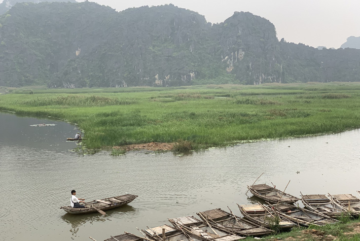 Nhiều loài quý hiếm ở Việt Nam bị đe dọa tuyệt chủng - Ảnh 2.