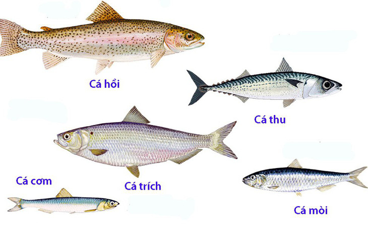 Làm thế nào để tránh hấp thu thủy ngân và tăng hấp thụ omega-3 có trong cá?