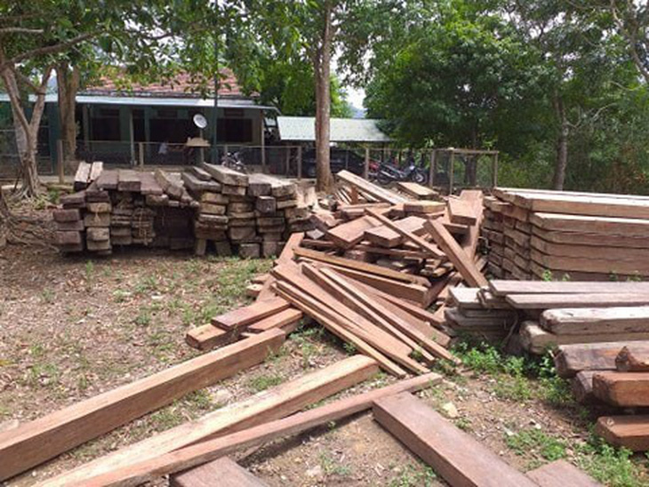 4,6m3 gỗ được giữ trái phép trong trụ sở UBND xã - Ảnh 1.