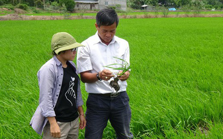 Phát động cuộc thi viết 