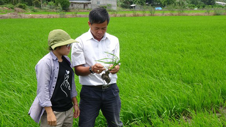 Phát động cuộc thi viết Noi theo gương Bác Hồ - Ảnh 1.