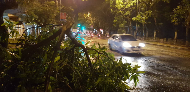Huế đón mưa đêm giải nhiệt, cây cối đổ ngã giữa đường - Ảnh 2.