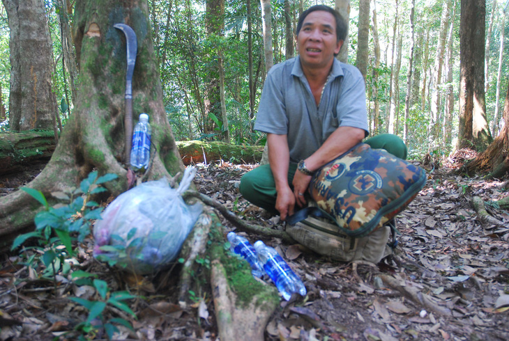 Người tìm ra rừng đỗ quyên ở Tây Giang - Ảnh 1.