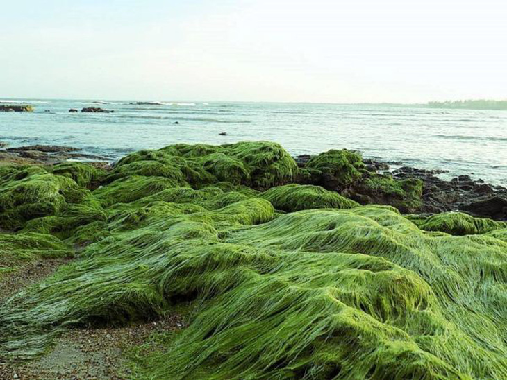 Mũi Si - Cửa Tùng: Nơi trốn nắng, tránh nóng cực kỳ lý tưởng - Ảnh 3.