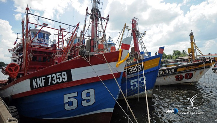Thái Lan cấm đánh bắt cá 3 tháng trên vịnh Thái Lan - Ảnh 1.
