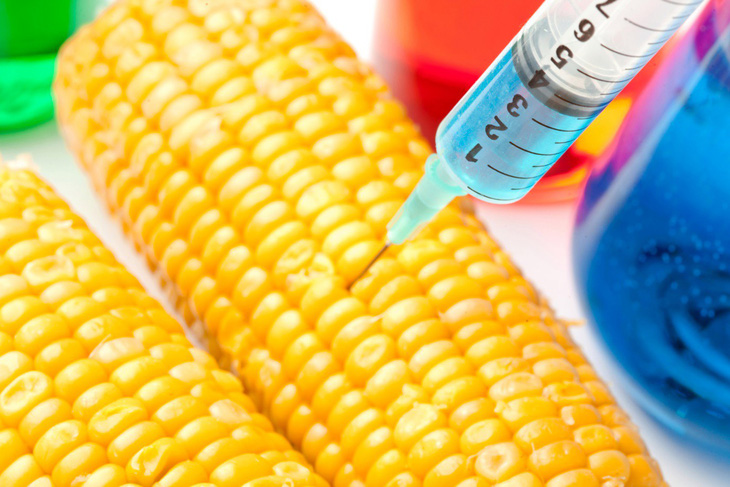Mỹ đẩy nhanh quy trình xem xét sản phẩm nông nghiệp biến đổi gene - Ảnh 1.
