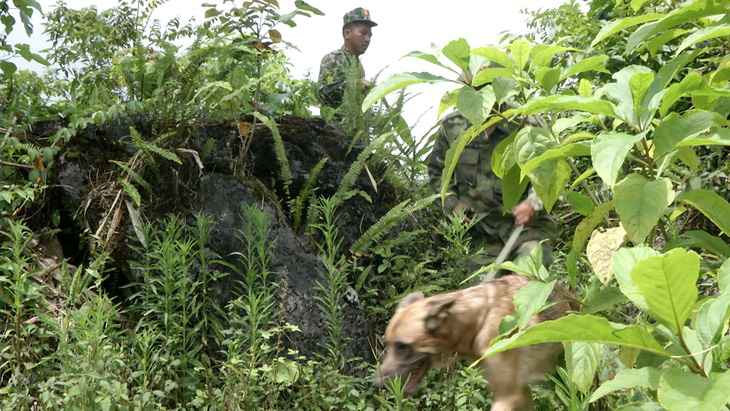 10 chiến sĩ và 2 chó nghiệp vụ tìm ra xác bà cụ 80 tuổi trong rừng - Ảnh 1.
