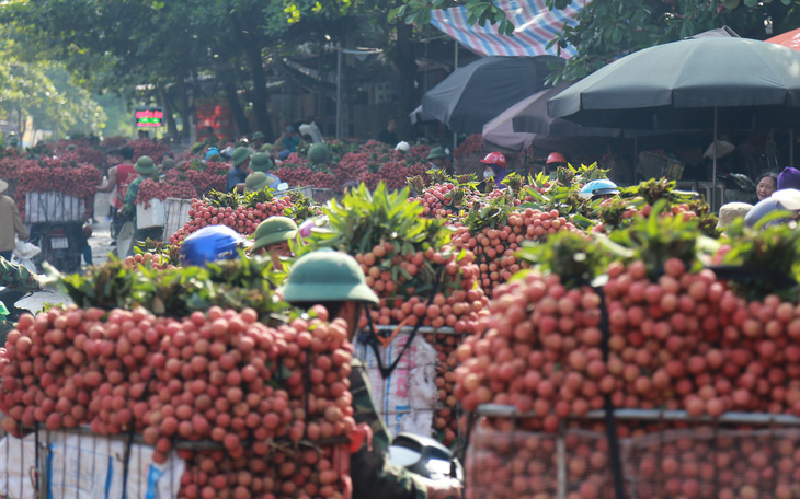 Vào chính vụ vải thiều Bắc Giang vẫn 60.000 đồng/kg