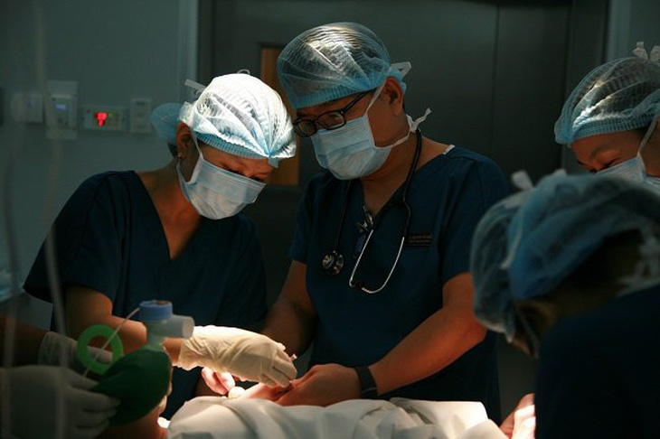 Gây tê vùng - xu hướng giảm đau sau phẫu thuật mới ở Việt Nam - Ảnh 1.