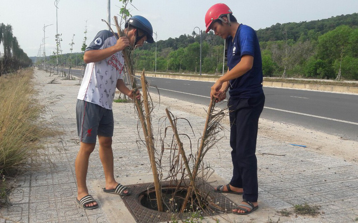 Hơn 100 nắp cống bị lấy trộm trên đường đẹp nhất Phú Quốc