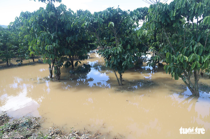 Sau mưa lớn, ngoại ô TP Bảo Lộc chìm trong biển nước - Ảnh 4.