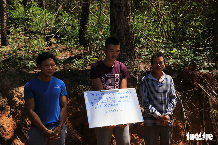 Nghi phạm chủ mưu hạ sát 3.500 cây thông bị bắt tại Lào - Ảnh 1.
