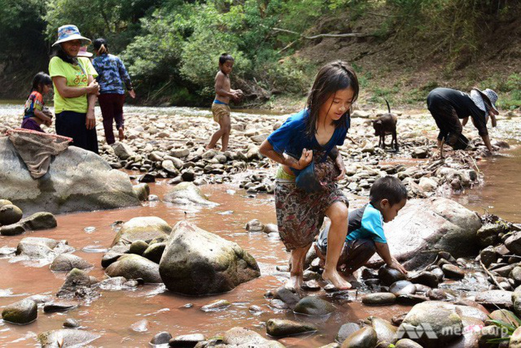 Ngôi trường dạy học sinh ra sông bắt cá, vào rừng sinh tồn - Ảnh 1.