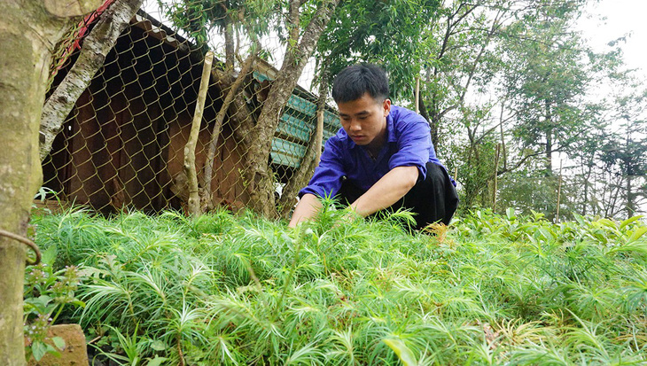 Huyền thoại pơmu - Ảnh 7.