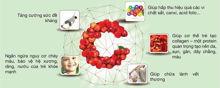 CNattu kids: sản phẩm từ Vitamin C tự nhiên và Rutin tự nhiên - Ảnh 1.