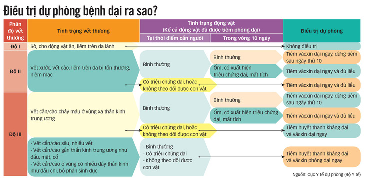 Mèo cào nguy hiểm như chó cắn - Ảnh 2.