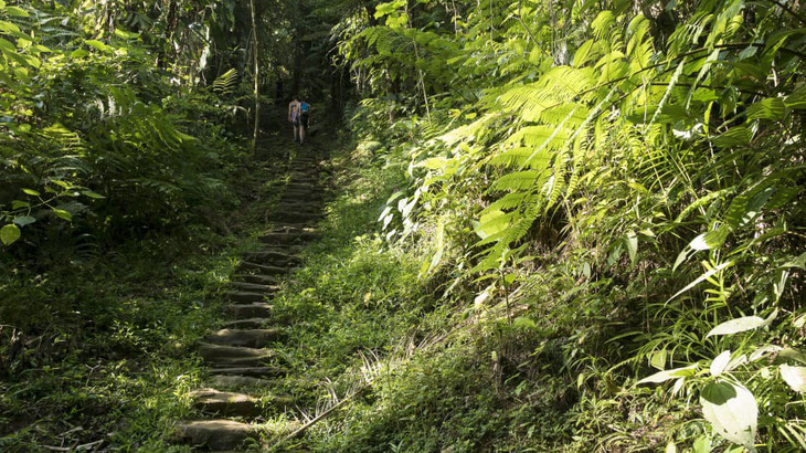 Ciudad Perdida - thành phố cổ còn già đời hơn Machu Picchu - Ảnh 4.