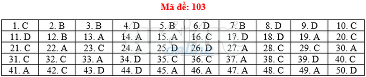 Bài giải gợi ý môn toán thi THPT quốc gia 2019 - đủ 24 mã đề - Ảnh 4.